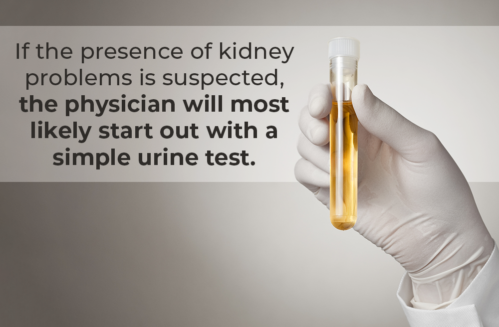 urine test for kidney disease