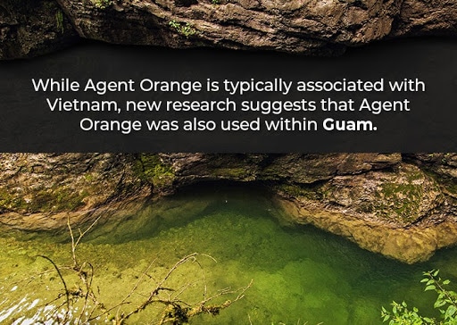 agent orange guam