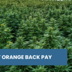 Agent Orange Back Pay