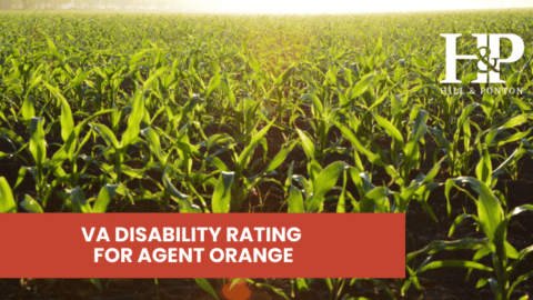 Agent Orange Disability
