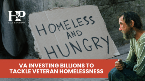 Homeless Veteran Budget