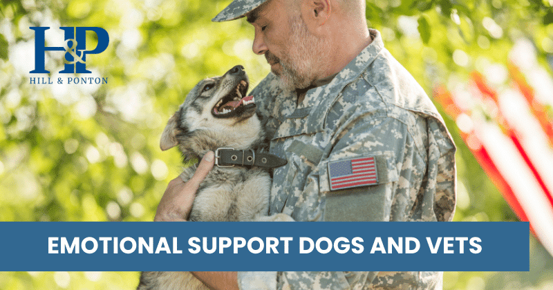 Emotional Support Dogs