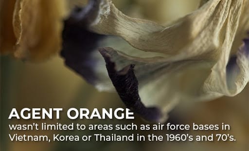 agent orange panama