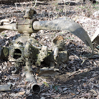 Robins Air Force Base Landfill 4 Sludge Lagoon