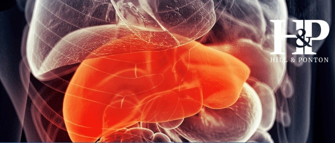 Fatty Liver Disease